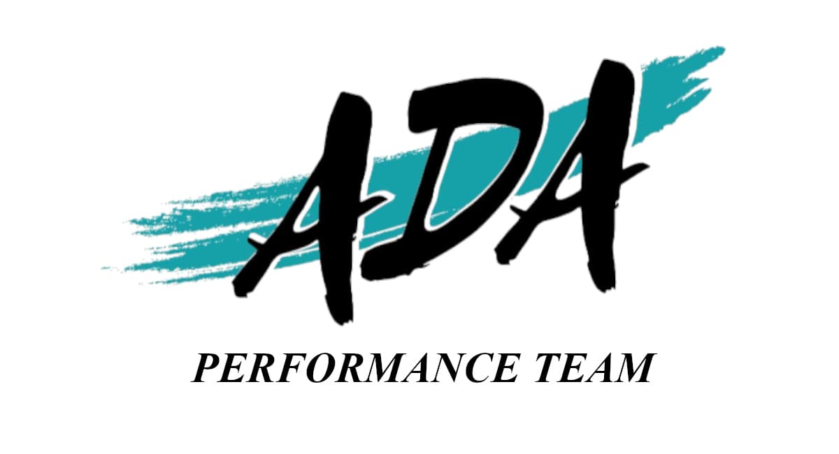 Performance Team